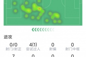 莱奥意甲数据速览