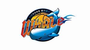 四川队雪上加霜，41连败纪录再创新低