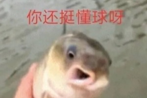 莱利欲求大牌却总获小利？帕金斯直指热火操作失误