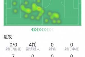 莱奥意甲表现数据