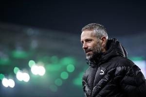 伯恩茅斯新帅人选浮出水面！BBC：罗泽将接替离任伊劳拉