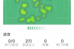 维尔茨利物浦表现数据汇总