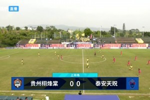足协杯-贵州栩烽棠2-1泰安天贶 卢成第87分钟绝杀