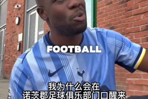 扎心！热刺球迷穿越到2050年，发现主队连降四级已经查无此队