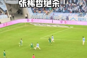 久旱逢甘霖！张稀哲圆月弯刀破门，现场国安博主高呼“NB！卧槽